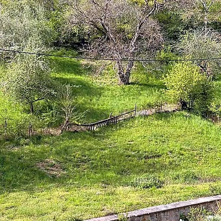 Michaela Penzión pre hostí 3*